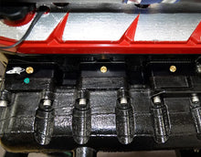 Laden Sie das Bild in den Galerie-Viewer, RIVA RACING Exhaust Race Plate für Sea-Doo